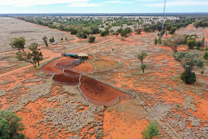 Coolibah Drone 9 Resized